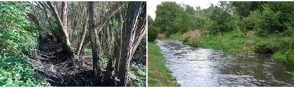 Rissener Dorfgraben leer und voller Wasser